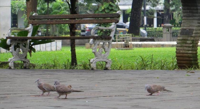 Sofyan Hotel Cut Meutia Jakarta Buitenkant foto
